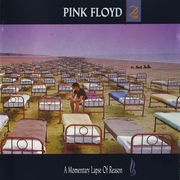 A Momentary Lapse Of Reason